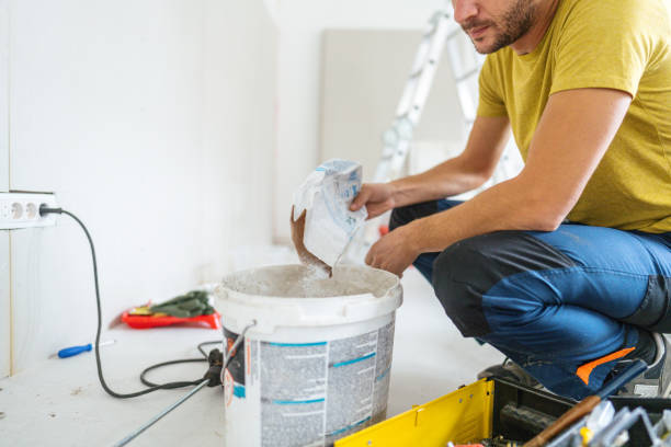 Best Mold Prevention Services  in Rossvle, IL