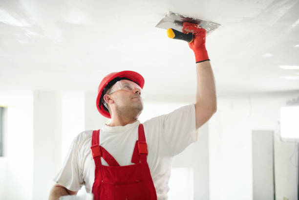 Best Dehumidification Services  in Rossvle, IL