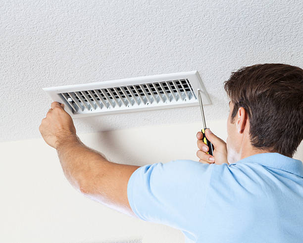 Forensic Mold Investigation in Rossville, IL