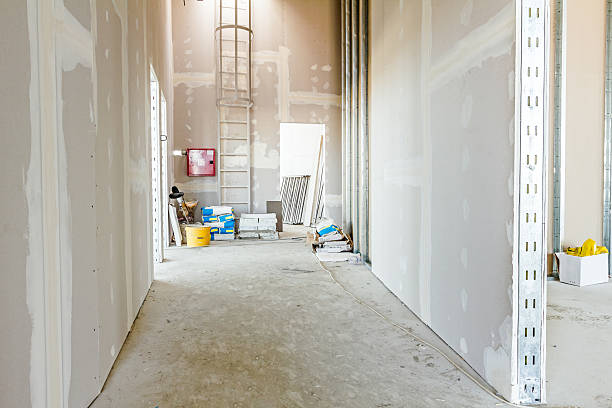 Dehumidification Services in Rossville, IL